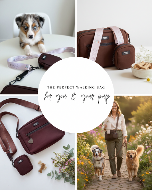Dog Walking Essentials Every Dog Mom Needs | Love Wag & Play