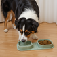 Foldable Silicone Dog Bowl – Minimal Travel Food & Water Set