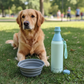 Neutral Dog Walk Bottle – 16oz Lightweight Sip Bottle