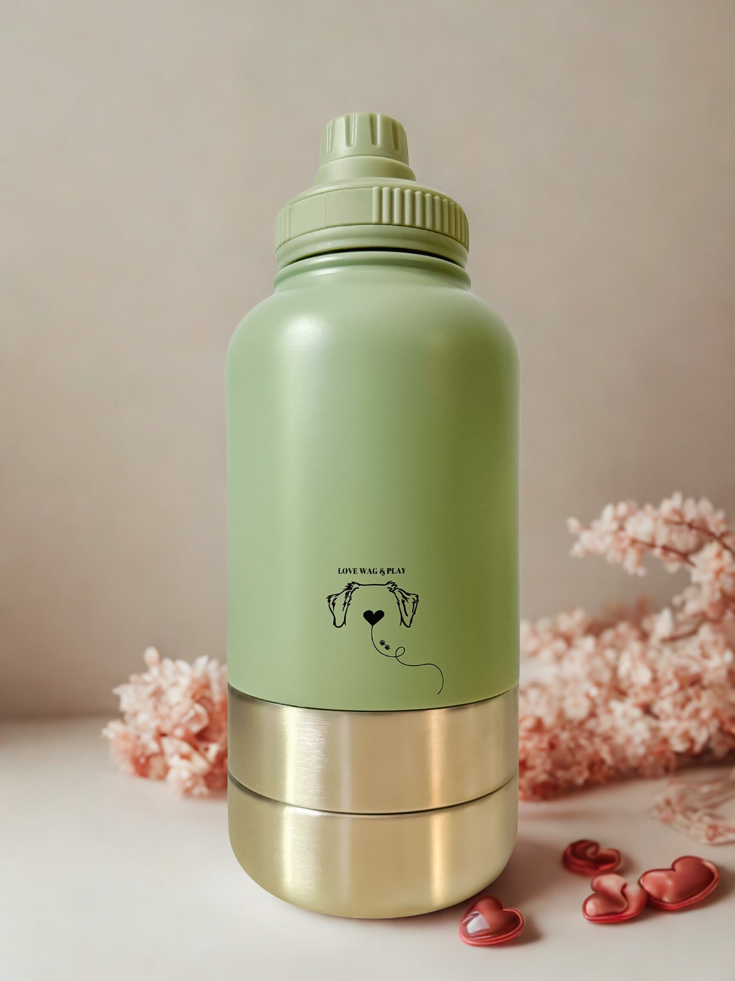 Adventure Dog Walk Water Bottle – 32oz Hydration Bottle